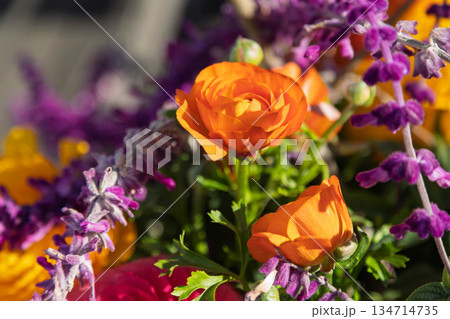 ラナンキュラスの寄せ植え 134714735