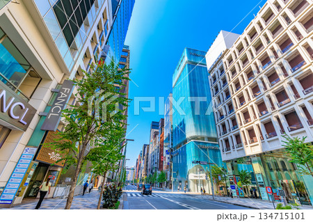 東京　中央区　銀座の都市風景　銀座五丁目交差点付近 134715101