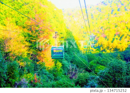 宮島ロープウェイ 134715252