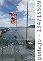 風で揺れる旭日旗 134715509