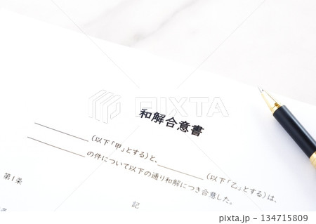 和解合意書 - 話し合いにより争いを止めることを約束した際に、その内容を書面にして交わす和解合意書 134715809