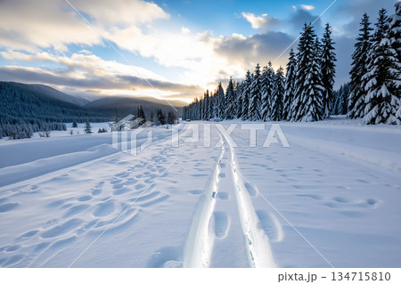 冬の晴れた日の雪道と足跡 134715810