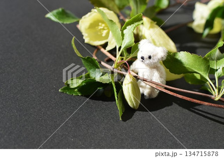 白い冬咲きクレマチスと小さなテディベア 白い冬咲きクレマチスと小さなテディベア 134715878