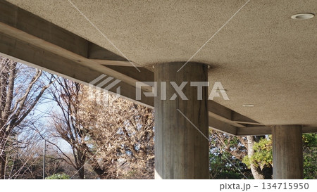 国立西洋美術館 134715950