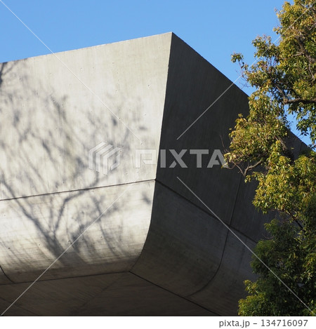 上野公園 東京文化会館 134716097
