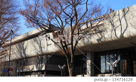 上野公園 東京文化会館 134716129