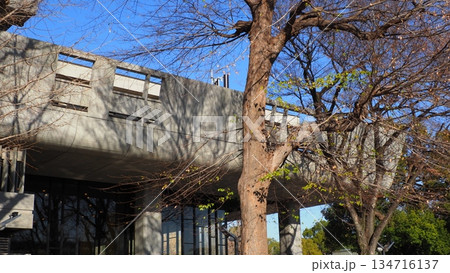 上野公園 東京文化会館 上野公園 東京文化会館 134716137