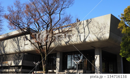 上野公園 東京文化会館 上野公園 東京文化会館 134716138
