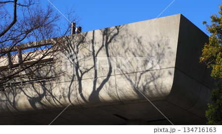 上野公園 東京文化会館 134716163