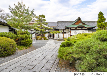 冬の大覚寺（京都） 134716223