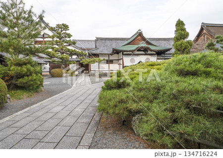 冬の大覚寺（京都） 134716224