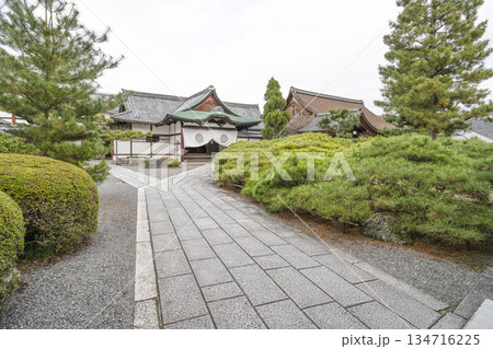 冬の大覚寺(京都) 冬の大覚寺(京都) 134716225
