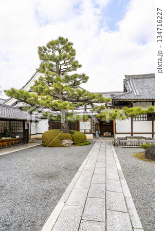 冬の大覚寺（京都） 134716227