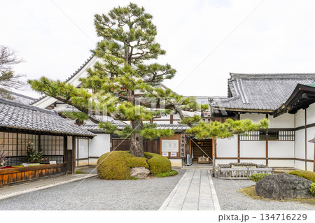 冬の大覚寺（京都） 134716229