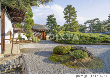 冬の大覚寺(京都) 冬の大覚寺(京都) 134716244