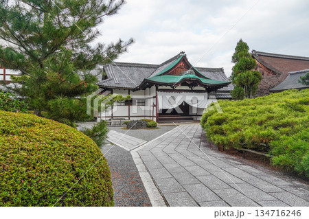 冬の大覚寺（京都） 134716246