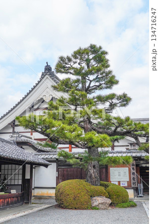 冬の大覚寺（京都） 134716247