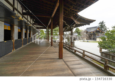 冬の大覚寺(京都)宸殿 冬の大覚寺(京都)宸殿 134716330