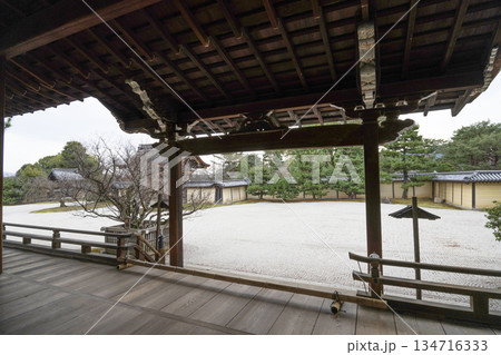 冬の大覚寺（京都） 134716333