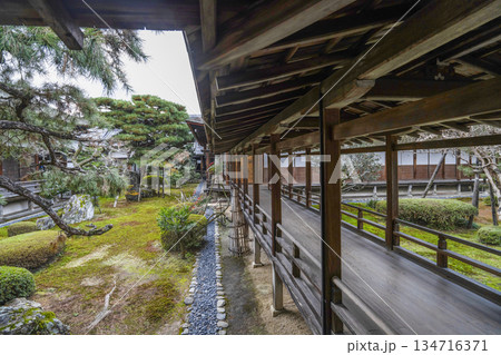 冬の大覚寺(京都)村雨の廊下 冬の大覚寺(京都)村雨の廊下 134716371