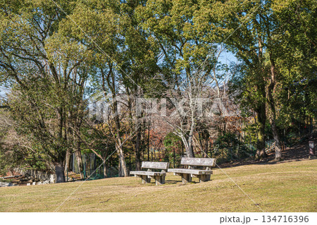 奈良公園荒池園地 134716396