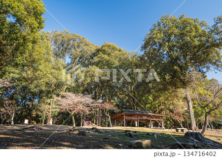 奈良公園浅茅ヶ原園地 奈良公園浅茅ヶ原園地 134716402