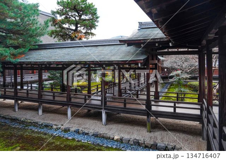 冬の大覚寺（京都）村雨の廊下 134716407