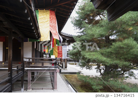 冬の大覚寺（京都） 134716415