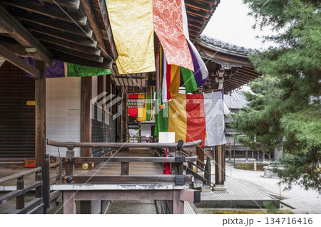 冬の大覚寺（京都） 134716416