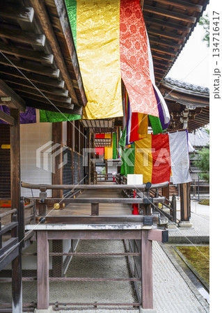冬の大覚寺(京都) 冬の大覚寺(京都) 134716417