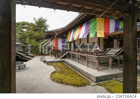 冬の大覚寺（京都） 134716424