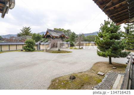 冬の大覚寺（京都） 134716425