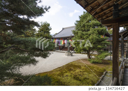 冬の大覚寺（京都）心経前殿 134716427