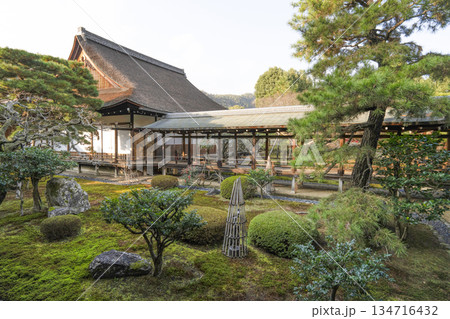 冬の大覚寺(京都) 冬の大覚寺(京都) 134716432