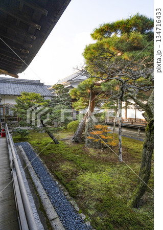 冬の大覚寺（京都） 134716433