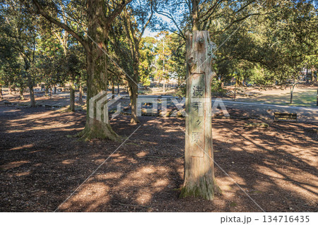 奈良公園浅茅ヶ原園地 134716435