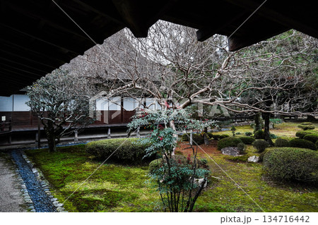冬の大覚寺（京都） 134716442