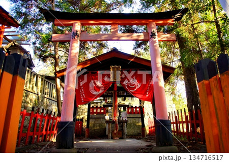 京都府　伏見稲荷大社　豐川吒枳尼眞天　京都市伏見区深草藪之内町　2022 年 2月 134716517