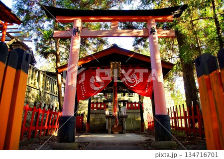 京都府　伏見稲荷大社　豐川吒枳尼眞天　京都市伏見区深草藪之内町　2022 年 2月 134716701