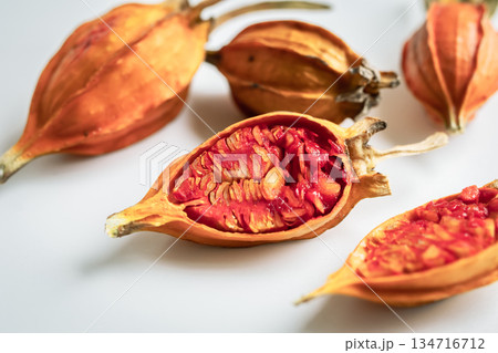 クチナシの実 白バック クチナシの実 白バック 134716712