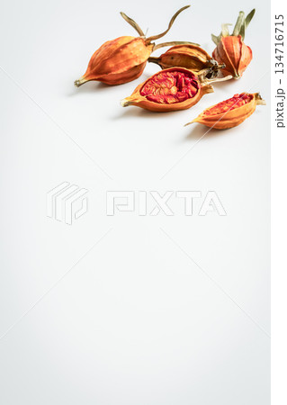 クチナシの実　白バック 134716715
