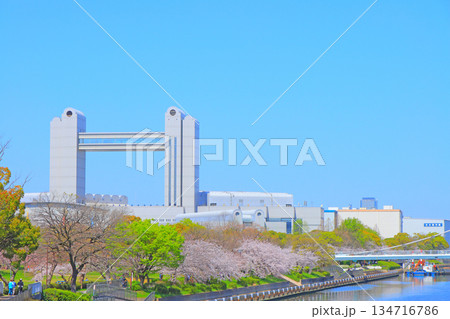 春の愛知県名古屋市、満開の桜と名古屋国際会議場の風景 春の愛知県名古屋市、満開の桜と名古屋国際会議場の風景 134716786