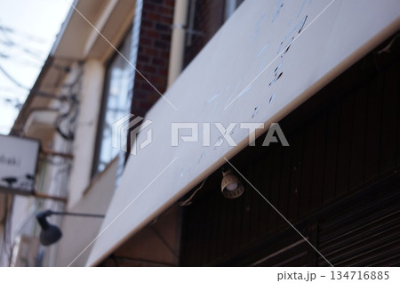 古本屋の軒先テント 古本屋の軒先テント 134716885