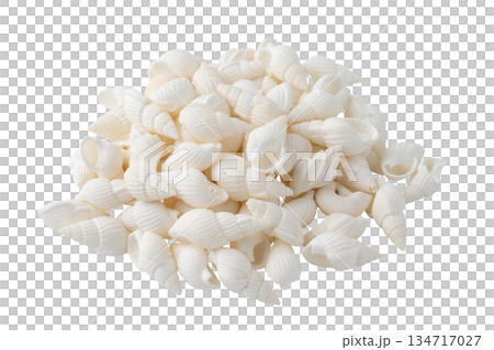 透明背景(png)にたくさんの白い巻貝の貝殻 透明背景(png)にたくさんの白い巻貝の貝殻 134717027