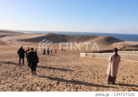 鳥取砂丘の風景 鳥取砂丘の風景 134717128