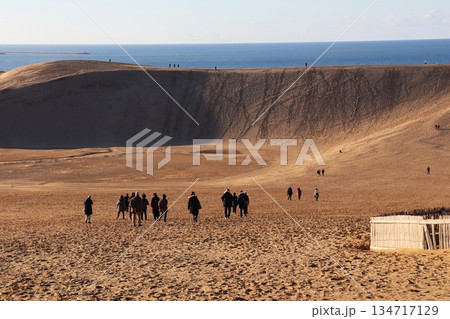 鳥取砂丘と日本海の風景 鳥取砂丘と日本海の風景 134717129