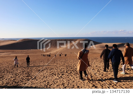 鳥取砂丘の風景 134717130