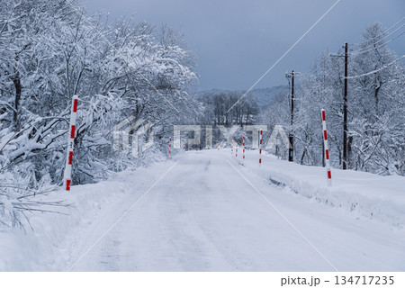 降り積もる雪道とスノーポール　b-2 クールカラー 134717235