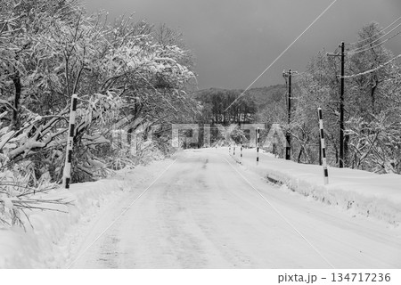 降り積もる雪道とスノーポール　b-3 モノクロ 134717236