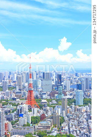 東京都港区、東京タワーと東京の街並みの風景 134717295